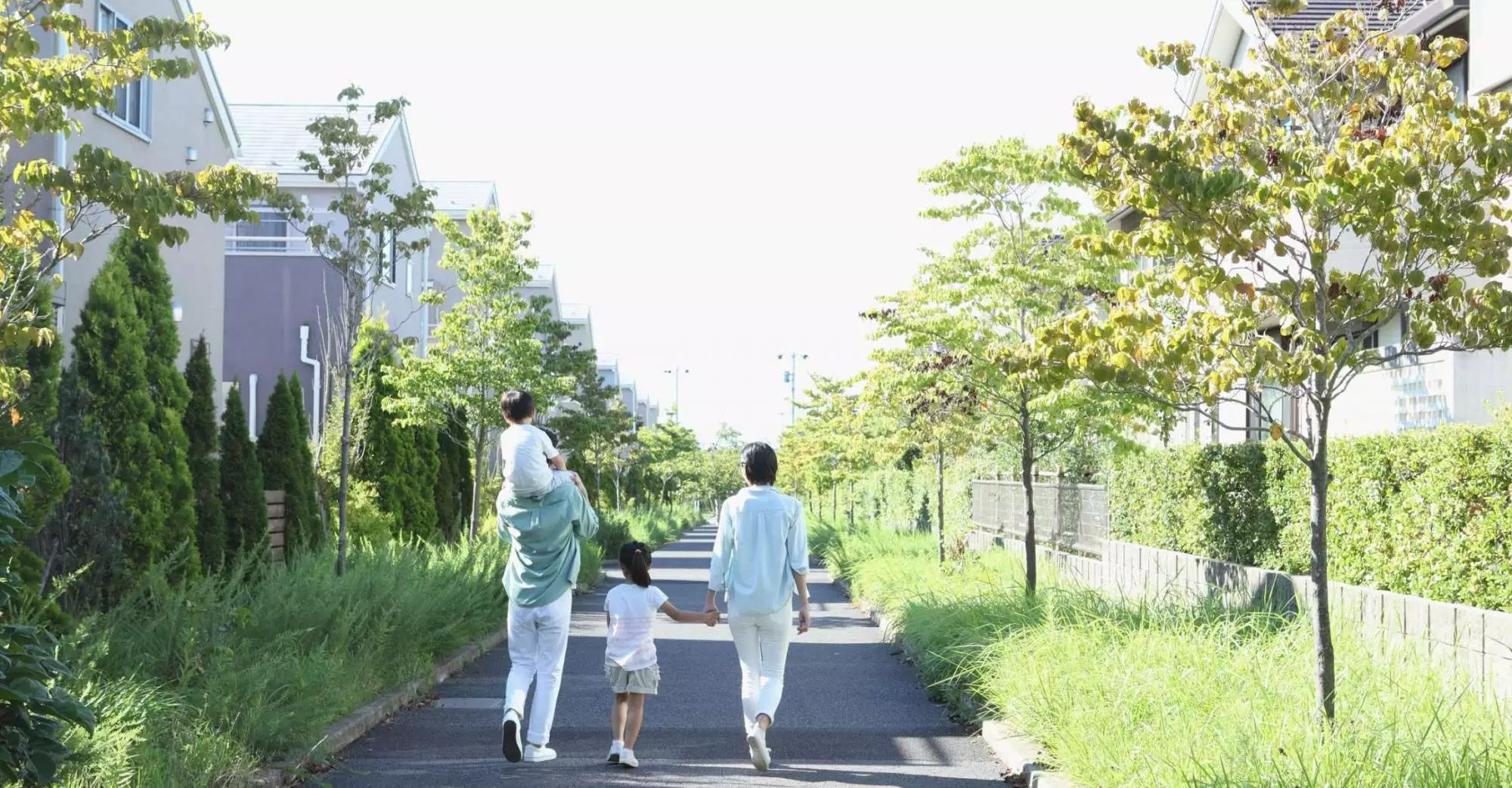 Turf services in Fulshear, TX